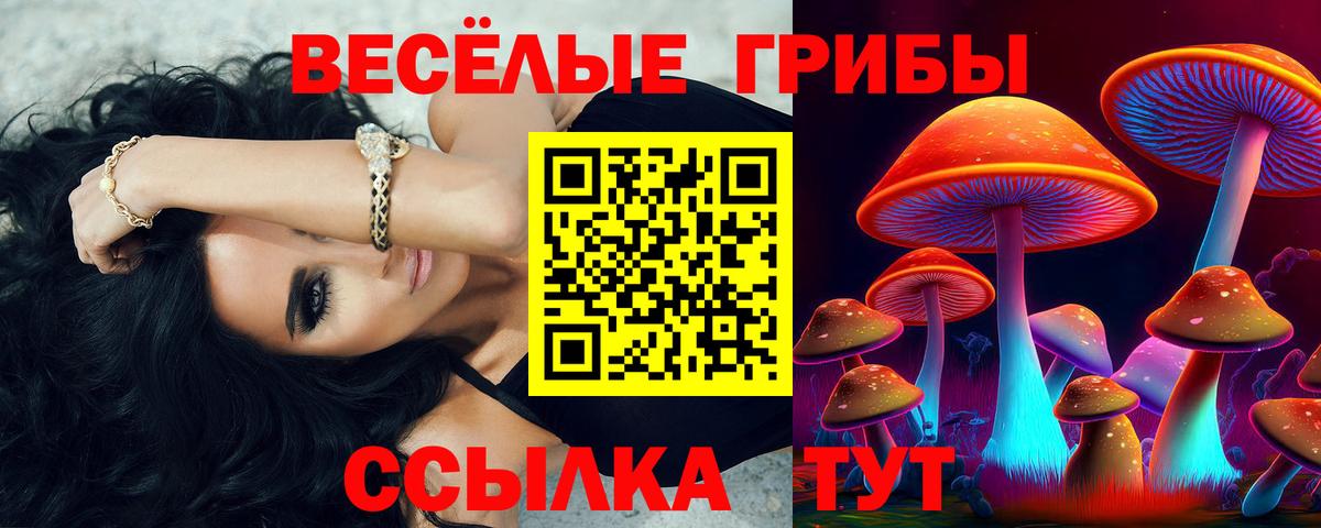 Псилоцибиновые грибы Cubensis  Галлюциногенные грибы GOLDEN TEACHER  Вход с VPN  Тихорецк 